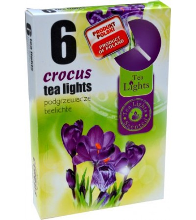 Sviečka čajová crocus Sviečka čajová crocus